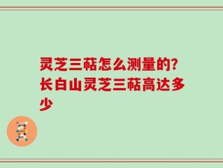 灵芝三萜怎么测量的？长白山灵芝三萜高达多少