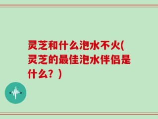 灵芝和什么泡水不火(灵芝的最佳泡水伴侣是什么？)
