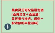桑黄灵芝可配桑葚泡酒(桑黄灵芝＋桑葚酒：灵芝香气渗透，送你一股浓郁的丰盈滋味)