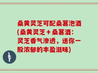 桑黄灵芝可配桑葚泡酒(桑黄灵芝＋桑葚酒：灵芝香气渗透，送你一股浓郁的丰盈滋味)