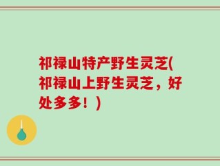 祁禄山特产野生灵芝(祁禄山上野生灵芝，好处多多！)
