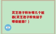 灵芝孢子粉补哪几个脏器(灵芝孢子粉有益于哪些脏器？)