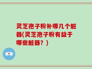 灵芝孢子粉补哪几个脏器(灵芝孢子粉有益于哪些脏器？)