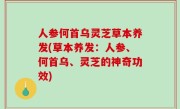 人参何首乌灵芝草本养发(草本养发：人参、何首乌、灵芝的神奇功效)