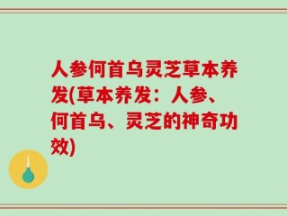 人参何首乌灵芝草本养发(草本养发：人参、何首乌、灵芝的神奇功效)