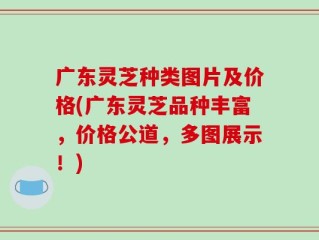 广东灵芝种类图片及价格(广东灵芝品种丰富，价格公道，多图展示！)