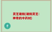灵芝建阳(建阳灵芝：神奇的中药材)