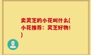 卖灵芝的小花叫什么(小花推荐：灵芝好物！)