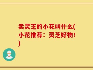 卖灵芝的小花叫什么(小花推荐：灵芝好物！)