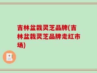 吉林盆栽灵芝品牌(吉林盆栽灵芝品牌走红市场)