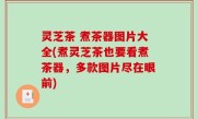 灵芝茶 煮茶器图片大全(煮灵芝茶也要看煮茶器，多款图片尽在眼前)