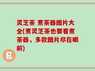 灵芝茶 煮茶器图片大全(煮灵芝茶也要看煮茶器，多款图片尽在眼前)