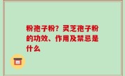 粉孢子粉？灵芝孢子粉的功效、作用及禁忌是什么