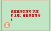 紫蓝花海灵芝片(灵芝片之旅：穿越紫蓝花海)