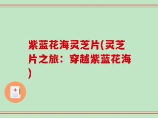 紫蓝花海灵芝片(灵芝片之旅：穿越紫蓝花海)