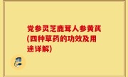 党参灵芝鹿茸人参黄芪(四种草药的功效及用途详解)
