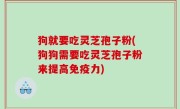狗就要吃灵芝孢子粉(狗狗需要吃灵芝孢子粉来提高免疫力)