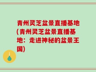 青州灵芝盆景直播基地(青州灵芝盆景直播基地：走进神秘的盆景王国)