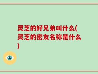 灵芝的好兄弟叫什么(灵芝的密友名称是什么)