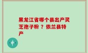 黑龙江省哪个县出产灵芝孢子粉 ？依兰县特产