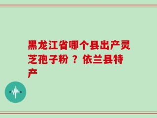 黑龙江省哪个县出产灵芝孢子粉 ？依兰县特产