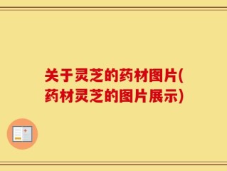 关于灵芝的药材图片(药材灵芝的图片展示)