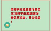 姜枣枸杞桂圆西洋参灵芝(姜枣枸杞桂圆西洋参灵芝组合：养生佳品)