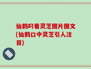 仙鹤叼着灵芝图片图文(仙鹤口中灵芝引人注目)