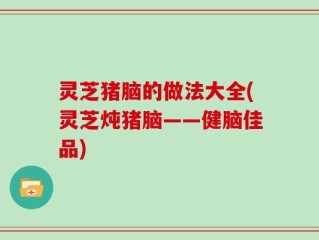 灵芝猪脑的做法大全(灵芝炖猪脑——健脑佳品)