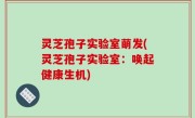 灵芝孢子实验室萌发(灵芝孢子实验室：唤起健康生机)