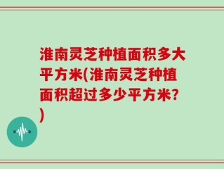 淮南灵芝种植面积多大平方米(淮南灵芝种植面积超过多少平方米？)