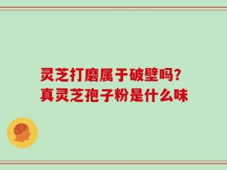 灵芝打磨属于破壁吗？真灵芝孢子粉是什么味