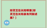 郑灵芝在长阳哪里(郑灵芝在长阳县有何新进展？)
