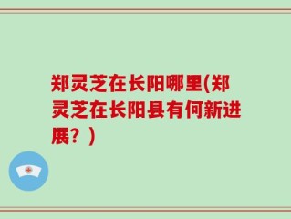 郑灵芝在长阳哪里(郑灵芝在长阳县有何新进展？)