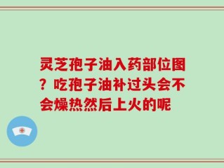 灵芝孢子油入药部位图？吃孢子油补过头会不会燥热然后上火的呢