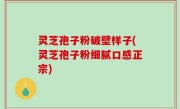 灵芝孢子粉破壁样子(灵芝孢子粉细腻口感正宗)