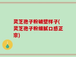 灵芝孢子粉破壁样子(灵芝孢子粉细腻口感正宗)