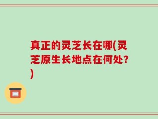 真正的灵芝长在哪(灵芝原生长地点在何处？)