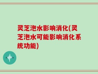 灵芝泡水影响消化(灵芝泡水可能影响消化系统功能)