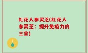 红花人参灵芝(红花人参灵芝：提升免疫力的三宝)