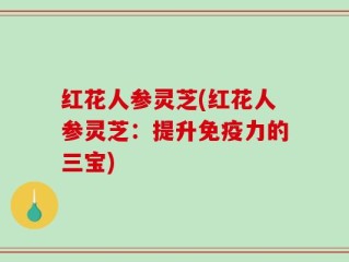 红花人参灵芝(红花人参灵芝：提升免疫力的三宝)