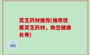 灵芝药材推荐(推荐优质灵芝药材，助您健康长寿)