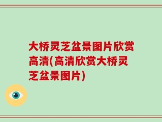 大桥灵芝盆景图片欣赏高清(高清欣赏大桥灵芝盆景图片)