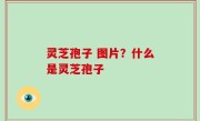 灵芝孢子 图片？什么是灵芝孢子