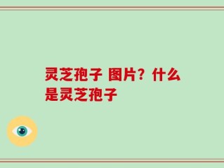 灵芝孢子 图片？什么是灵芝孢子