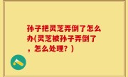 孙子把灵芝弄倒了怎么办(灵芝被孙子弄倒了，怎么处理？)