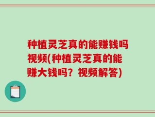 种植灵芝真的能赚钱吗视频(种植灵芝真的能赚大钱吗？视频解答)