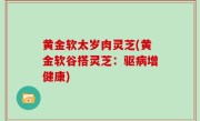 黄金软太岁肉灵芝(黄金软谷搭灵芝：驱病增健康)