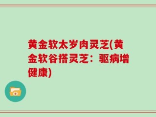 黄金软太岁肉灵芝(黄金软谷搭灵芝：驱病增健康)