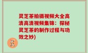 灵芝茶拍摄视频大全高清高清视频集锦：探秘灵芝茶的制作过程与功效之妙)